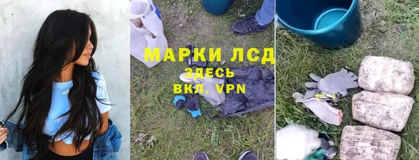 прущие грибы Алзамай