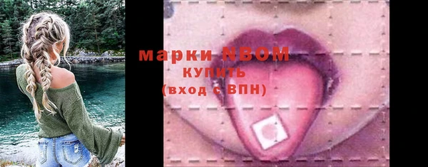 прущие грибы Алзамай