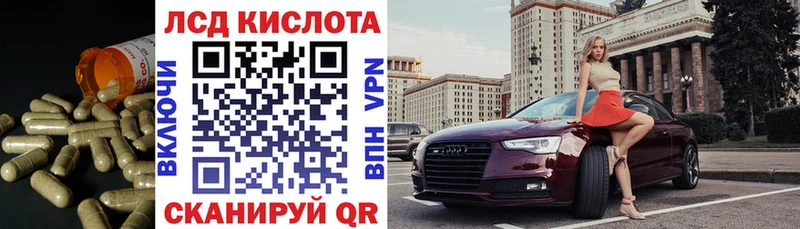 даркнет сайт  Почеп  ЛСД экстази кислота 