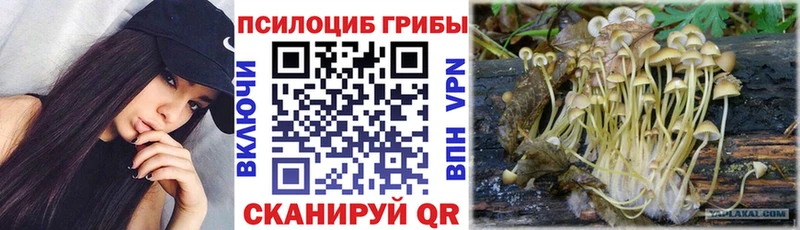 что такое наркотик  Почеп  Галлюциногенные грибы Cubensis 